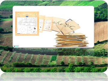 صدور سند مالکیت برای ۷۰۰هزار هکتار از اراضی کشاورزی استان اردبیل