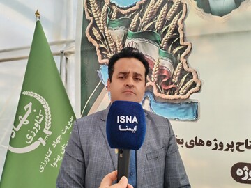 سرمایه‌گذاران برای توسعه گلخانه‌ها وارد میدان شوند