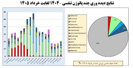وضعیت آنفلوآنزا در هفته دوازدهم سال / رصد عفونت‌های تنفسی در حجاج در ۶ فرودگاه کشور