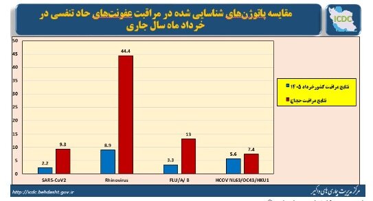 وضعیت آنفلوآنزا در هفته دوازدهم سال / رصد عفونت‌های تنفسی در حجاج در ۶ فرودگاه کشور