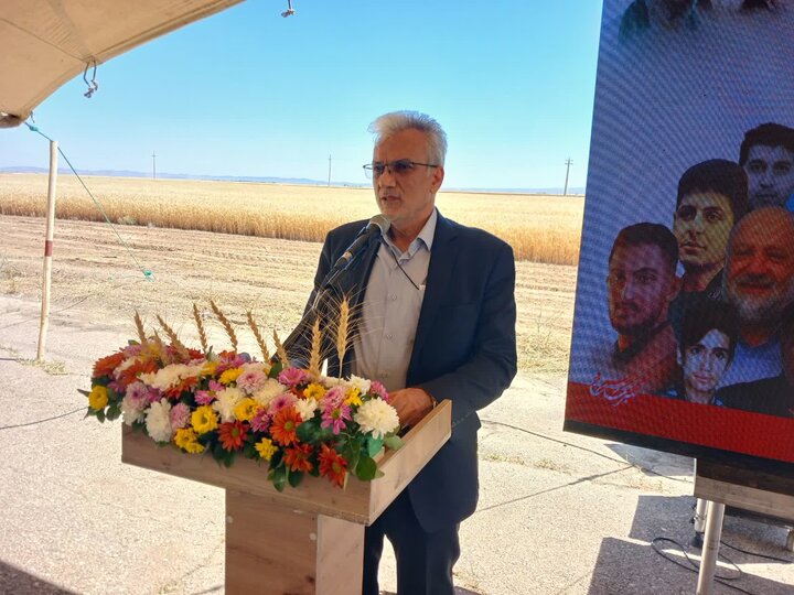 بخش کشاورزی در حال پوستاندازی اساسی است/پیشبینی تولید 14 میلیون تن گندم در کشور