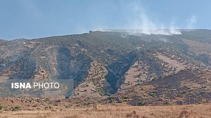 آتش‌سوزی در جنگل‌های بلوط ایلام؛ فروپاشی آرام منبع آب، خاک و حیات