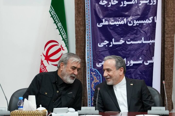 در دیدار اعضای کمیسیون امنیت ملی مجلس با عراقچی چه گذشت ؟