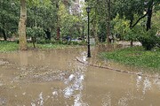 رگبار در شمال تهران؛ هشدار نسبت به وقوع سیل