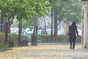 رگبار باران در ۱۳ استان/ وزش باد شدید تا ۹ استان