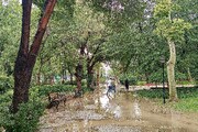 تداوم رگبار و رعد و برق در برخی نقاط کشور/ وزش باد شدید در بیشتر استان‌ها