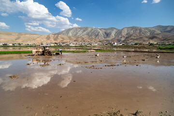 در حاشیه رودخانه قزل اوزن شالیکاران و پرندگان مهاجر به نوعی همزیستی مسالمت آمیز رسیده اند. به طوری که کشاورزان با شخم زدن زمین های کشاورزی سبب بیرون آمدن حشرات زیر خاک شده و پرندگان مهاجر با شکار آنها، به عنوان آفت کش در این منطقه عمل می کنند.