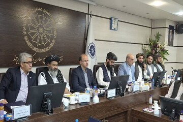 سرمایه‌گذاری مشترک ایران و افغانستان؛ محور جدید همکاری‌های اقتصادی خراسان جنوبی و هلمند