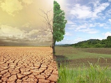 بیابان‌زدایی موثر، نیازمند برنامه‌ریزی بلندمدت