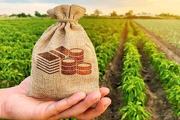 بررسی عوامل راه‌اندازی کسب‌وکارهای نوپا در یک صنعت مهم
