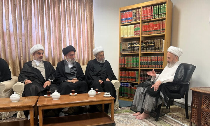 آیت‌الله سبحانی: حوزه علمیه نجف در عرصه مسائل نوپدید پیشگام باشد