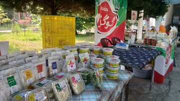 گام جهاد کشاورزی بابل در مسیر امنیت غذایی