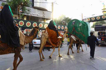 مراسم نمادین ورود کاروان امام حسین (ع) به کربلا - شهرستان بهار
