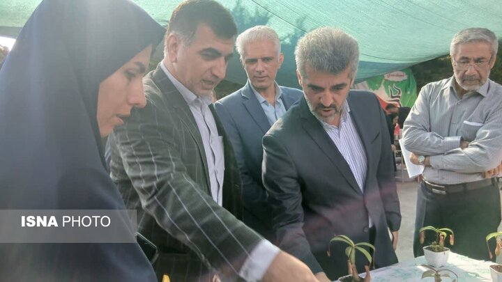 گام بلند جهاد کشاورزی بابل در مسیر امنیت غذایی