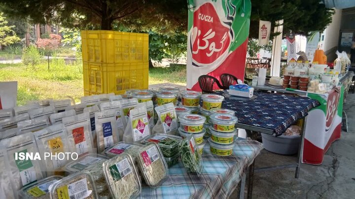 گام جهاد کشاورزی بابل در مسیر امنیت غذایی