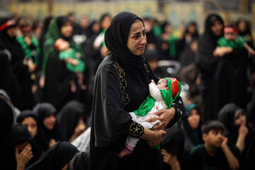 مراسم شیرخوارگان حسینی - حرم مطهر رضوی