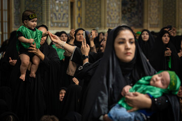 مراسم شیرخوارگان حسینی - حرم مطهر رضوی