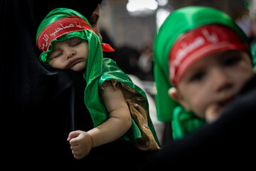 مراسم شیرخوارگان حسینی - حرم مطهر رضوی
