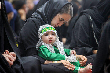 مراسم شیرخوارگان حسینی - جزیره کیش