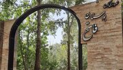 حال چنارهای باغ فاتح کرج خوب نیست