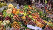 نمایش ظرفیت‌های باغداری قصرقند