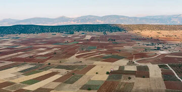 آزادسازی ۴۲ هزار مترمربع از اراضی کشاورزی و باغی بروجرد از ابتدای سال