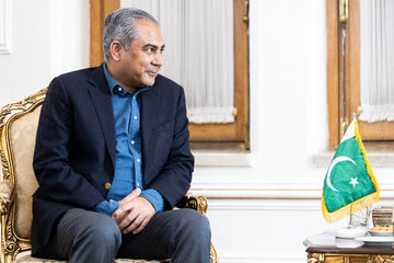 دیدار وزیر کشور پاکستان با وزیر امورخارجه ایران