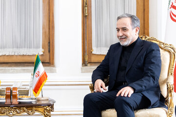 دیدار وزیر کشور پاکستان با وزیر امورخارجه ایران