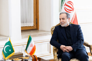 دیدار وزیر کشور پاکستان با وزیر امورخارجه ایران
