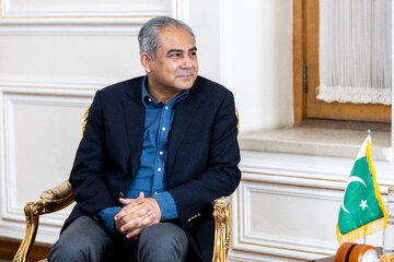 دیدار وزیر کشور پاکستان با وزیر امورخارجه ایران