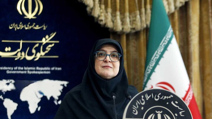 سخنگوی دولت: پشت هر دستاورد دیپلماتیک، سال‌ها مقاومت، ایستادگی، تلاش و مجاهدت نهفته است