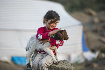 کوچ عشایر لرستان