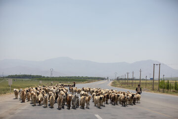 کوچ عشایر لرستان