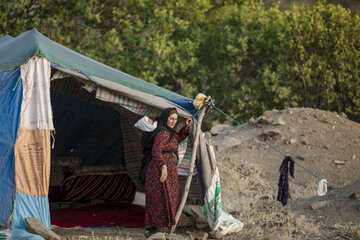 در این تصویر، زن عشایری دیده می‌شود که به روش سنتی فرزند خود را با چادر به کمر بسته است تا بتواند همزمان به کارهای روزمره و فعالیت‌های زندگی عشایری خود رسیدگی کند. این شیوه، بخشی از سبک زندگی زنان عشایر است که در آن مسئولیت مادری و کار در دل طبیعت به‌طور همزمان جریان دارد