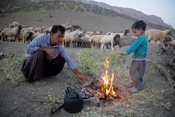 کوچ عشایر لرستان