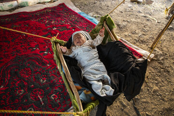 کوچ عشایر لرستان
