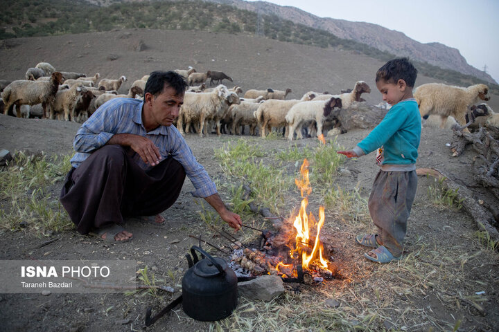 کوچ عشایر لرستان