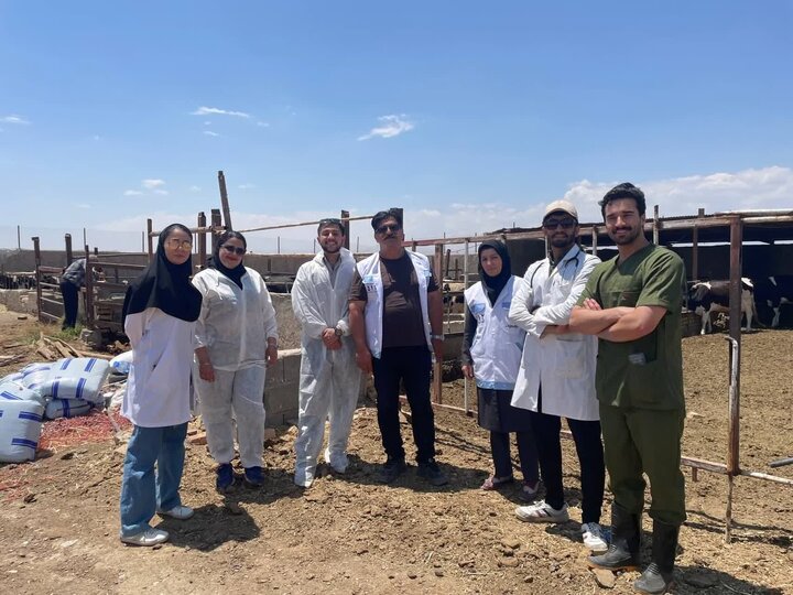 پایش بیش از ۳۰۰۰ رأس دام در اردوی جهادی دامپزشکی در روستای علاء سمنان