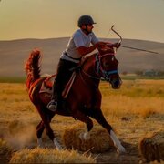 دعوت خوزستانی‌ها به اردوی تیم ملی کمانگیری روی اسب برای جهانی عشایر
