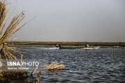 پیشرفت ۹۰ درصدی پروژه احیای تالاب «بامدژ» 