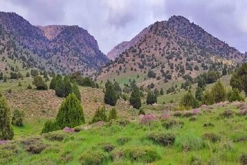 از ذخیره‌گاه جهانی زیست‌کره «کپه داغ» چه می‌دانید؟