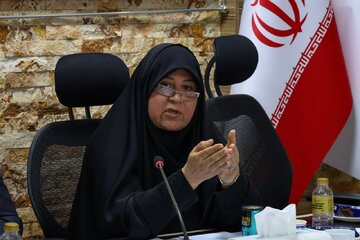 اصلاح ساختار عملیاتی، مسیر جذب سرمایه‌گذار در گروه ملی فولاد ایران