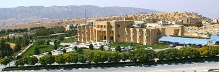 استادیار دانشگاه ایلام: اقتصاد و حسابداری در نقش موتور نهادسازی دانشگاهی هستند