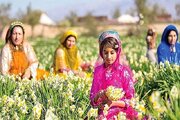 مهم‌ترین عوامل اثرگذار بر «کارآفرینی روستایی» در ایران