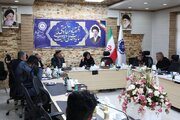 تعارض نرخ فروش سبوس با مصوبه هیأت وزیران باید در سامانه مربوطه رفع شود