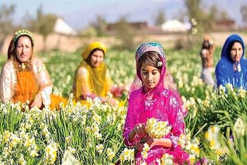 مهم‌ترین عوامل اثرگذار بر «کارآفرینی روستایی» در ایران