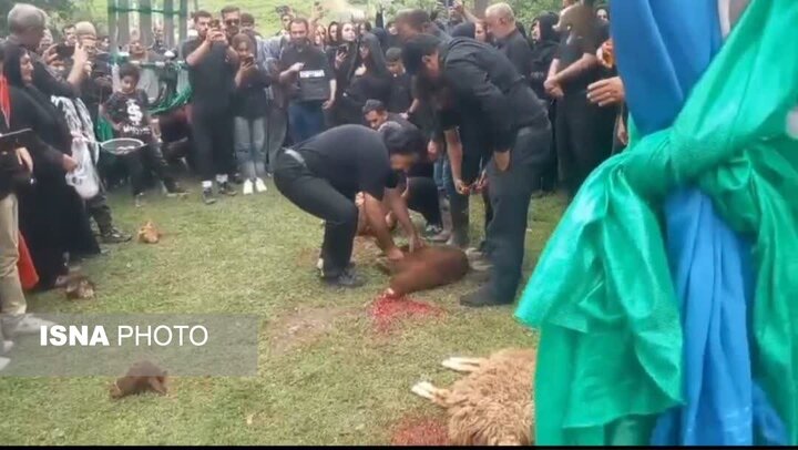 آیین کهن «سلام دادن علم» در سوادکوه؛ روایت اشکبار دو پرچم در سوگ علمدار کربلا