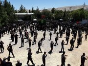 شیراز در سوگ عاشورا/ حرم شاهچراغ(ع) میعادگاه دلدادگان حسینی شد