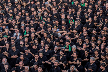 آیین نخل برداری عصر عاشورا حسینیه «شاه‌ ابوالقاسم» - یزد