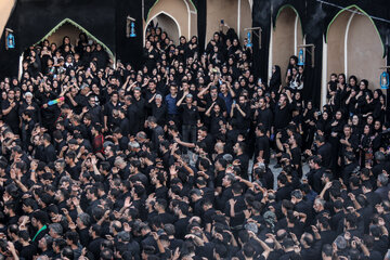 آیین نخل برداری عصر عاشورا حسینیه «شاه‌ ابوالقاسم» - یزد